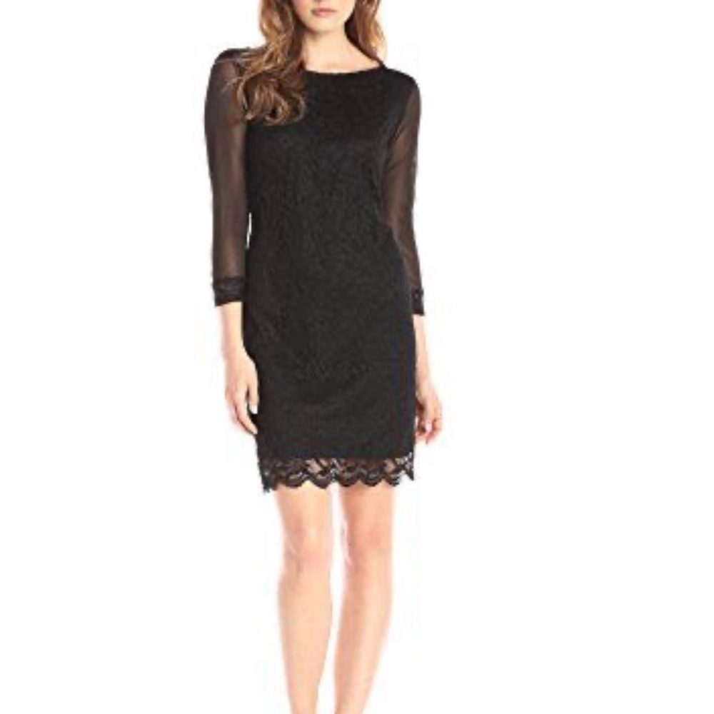 Tiana B. Elegant Black Lace Dress. Cocktail dress. Party dress. Evening dress